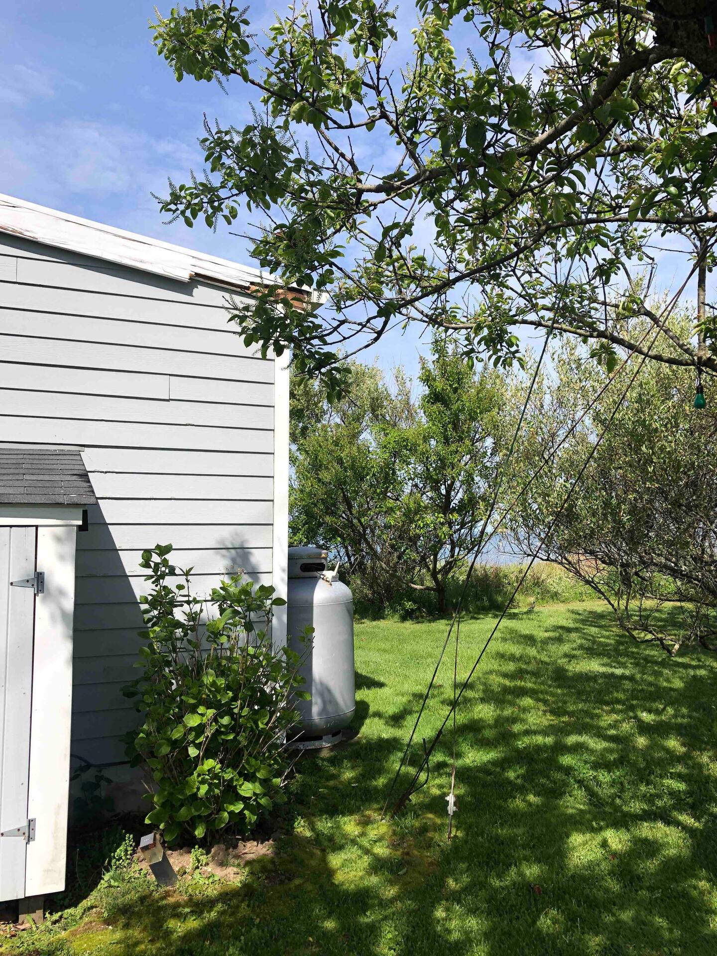 Roosevelt Cottage